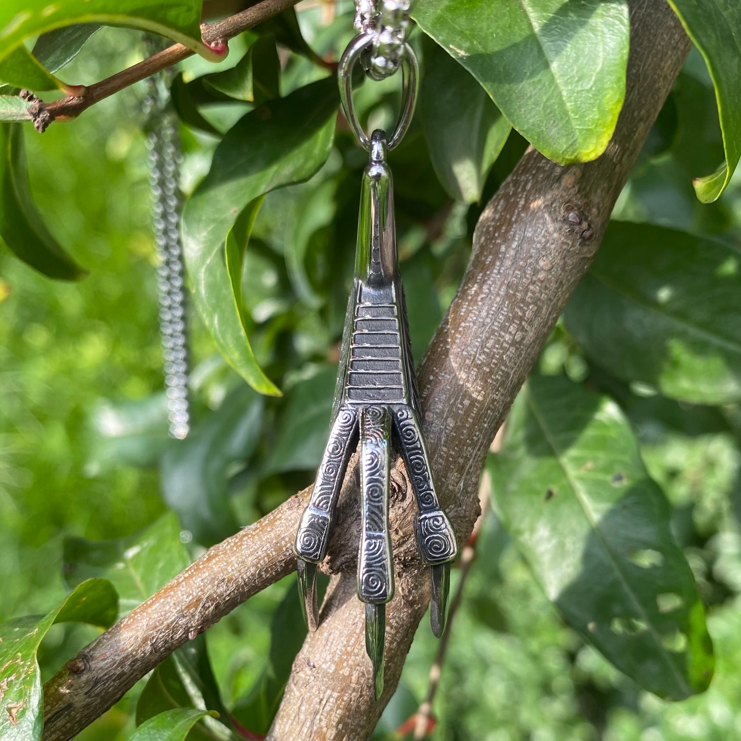 Eagle's Claw Necklace Replica