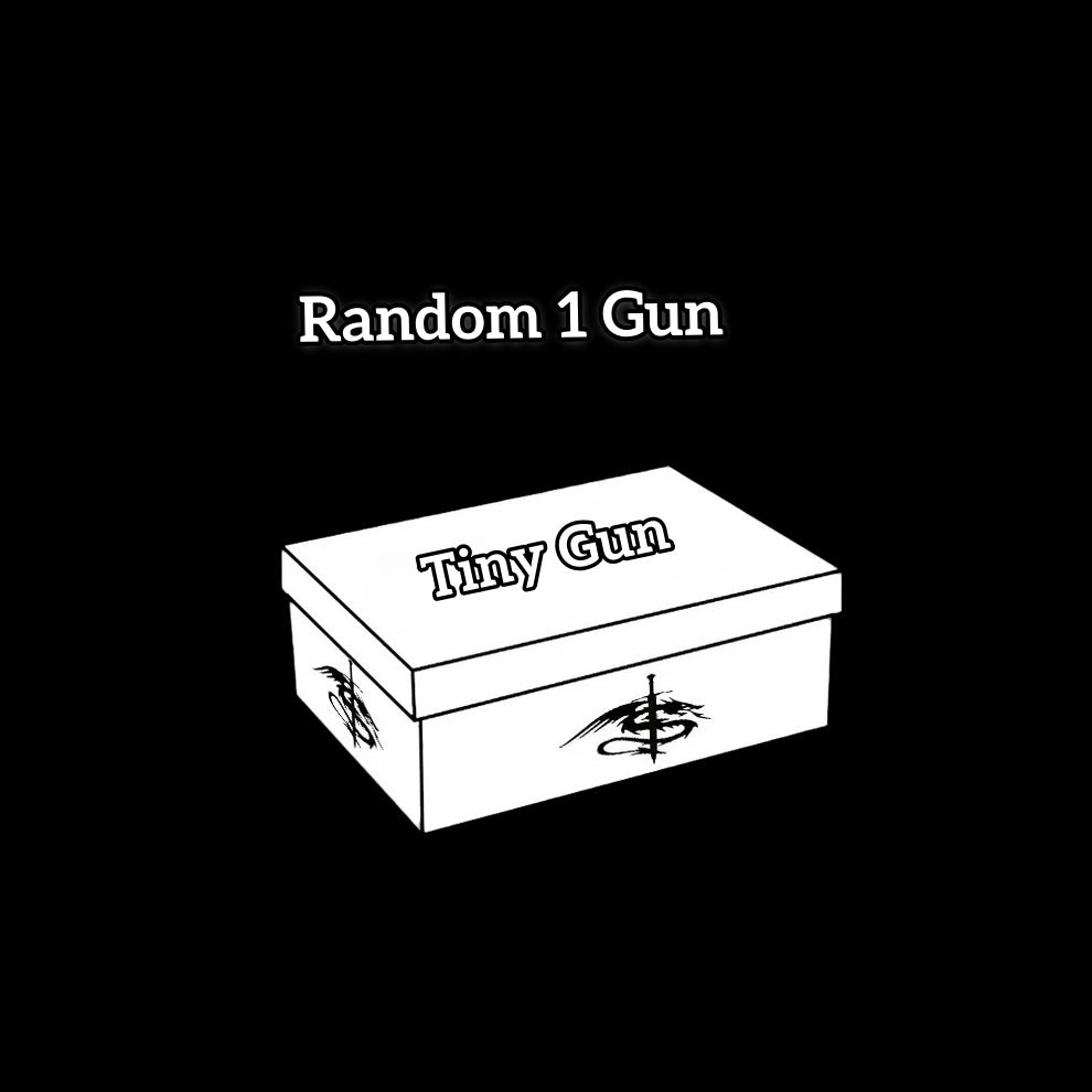 Tiny Gun Metal Replica Random Mystery Box