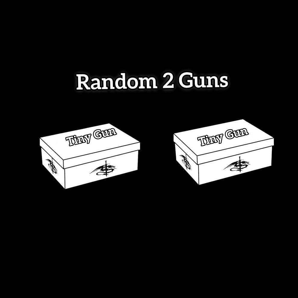 Tiny Gun Metal Replica Random Mystery Box