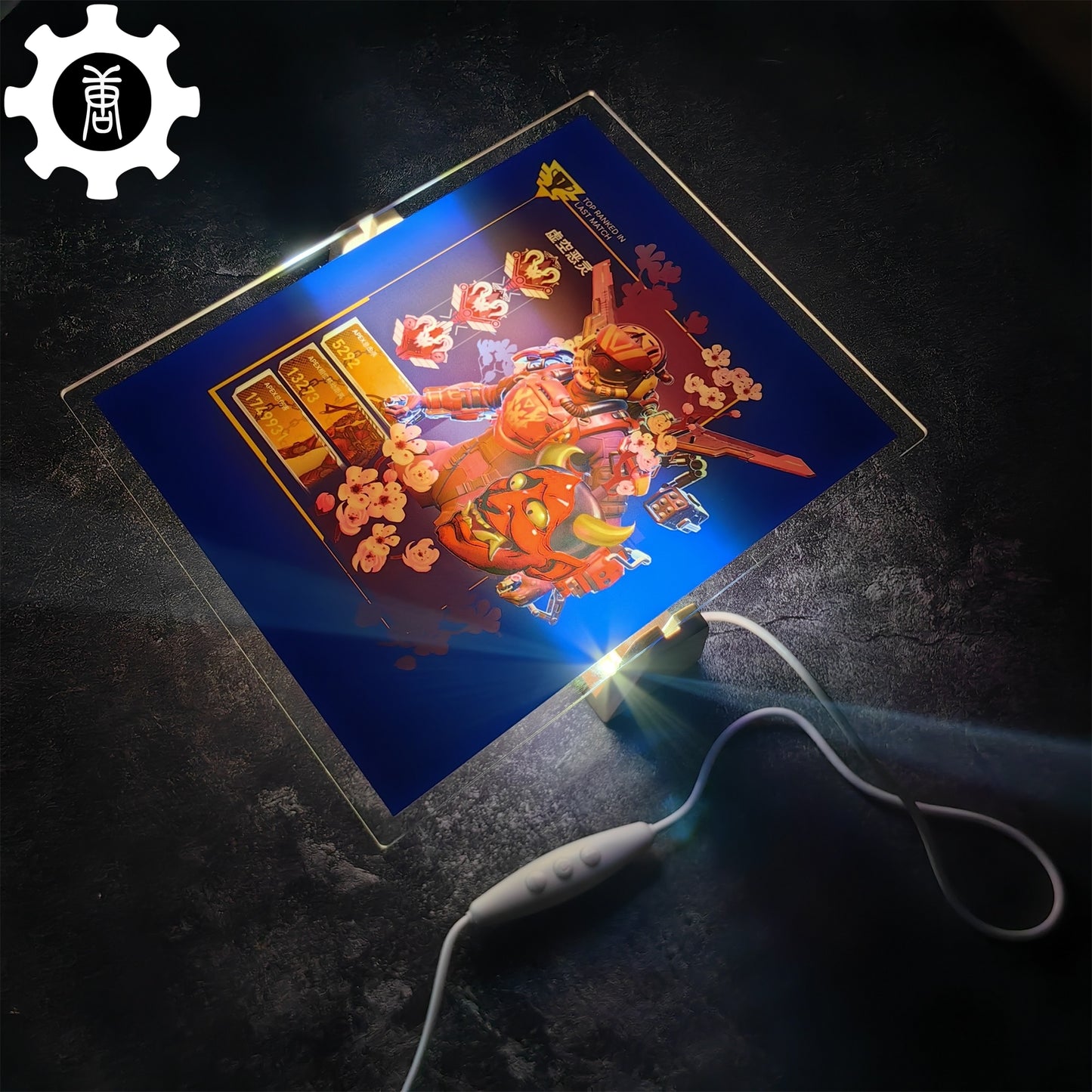 Customized Champion Banner LED Lamp