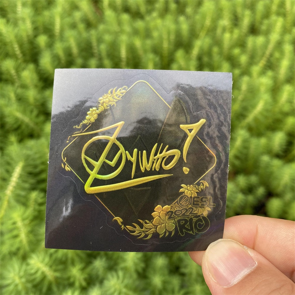 IRL 50 CSGO Classical Holographic Stickers