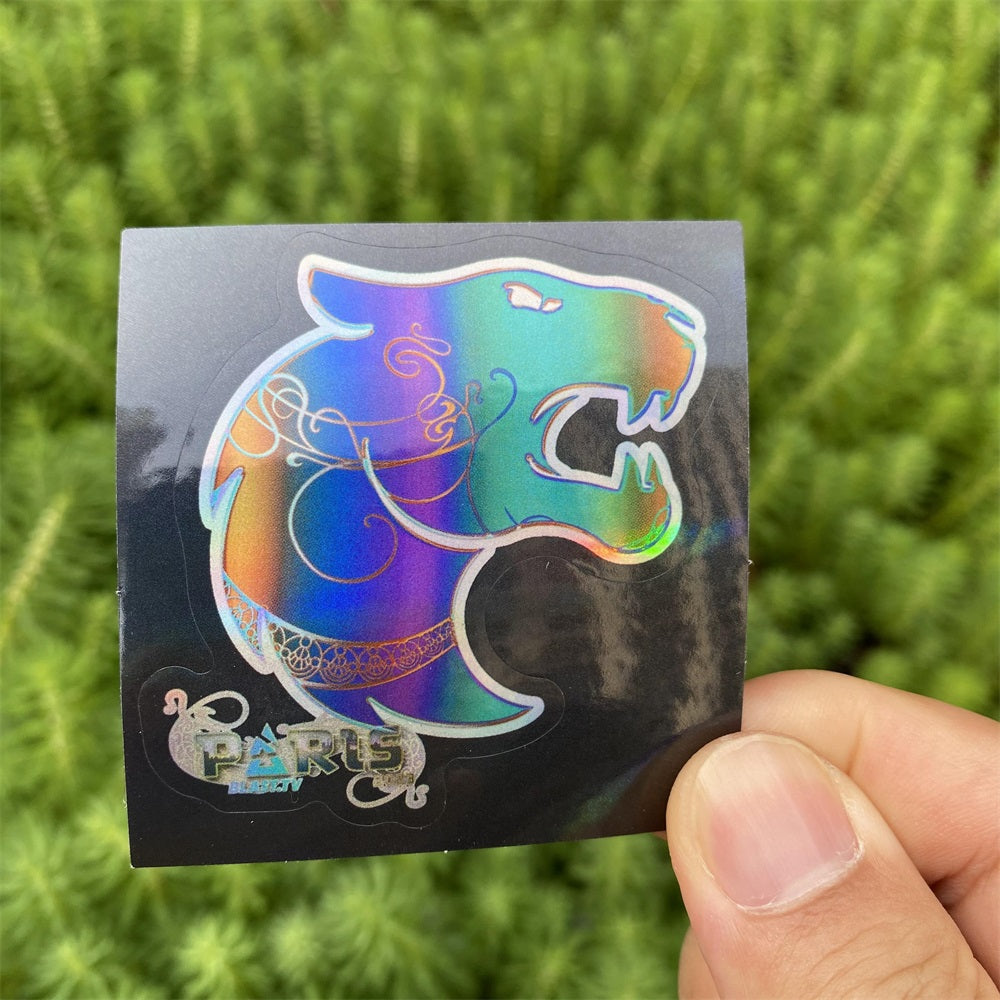 IRL 50 CSGO Classical Holographic Stickers