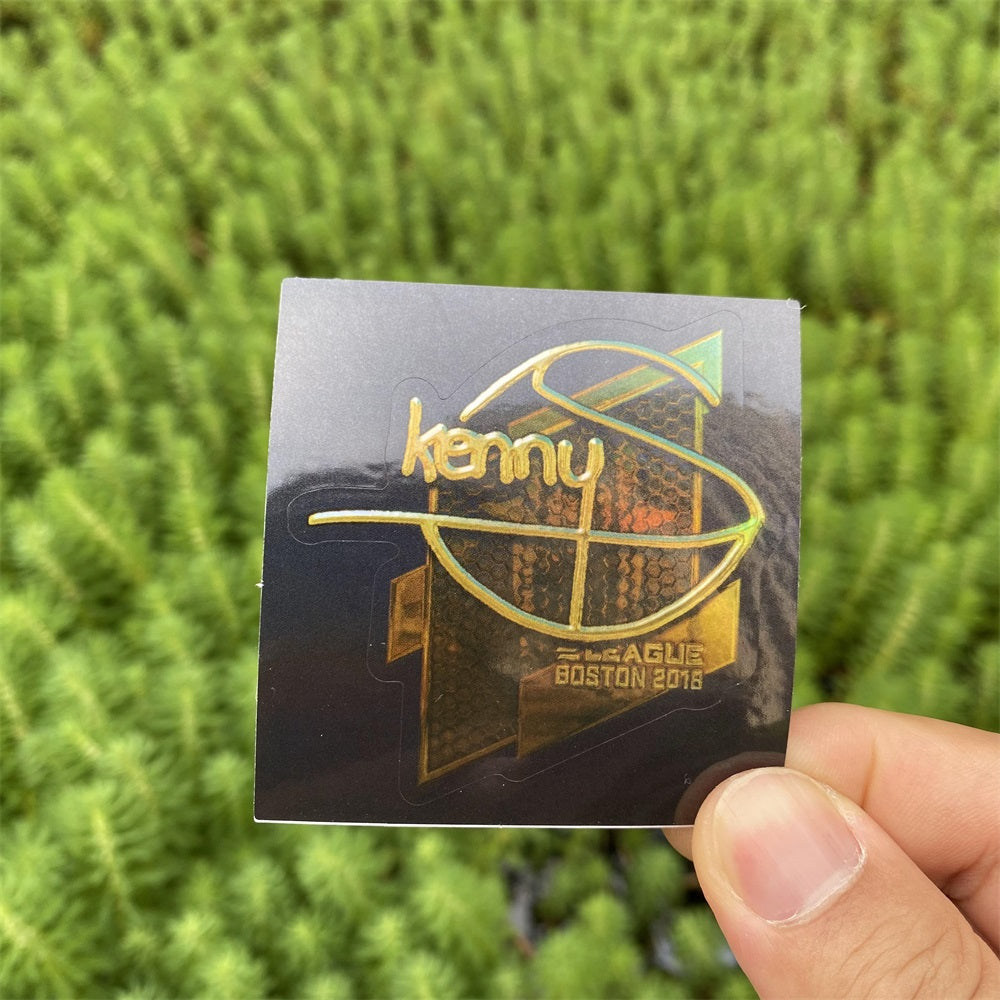 IRL 50 CSGO Classical Holographic Stickers