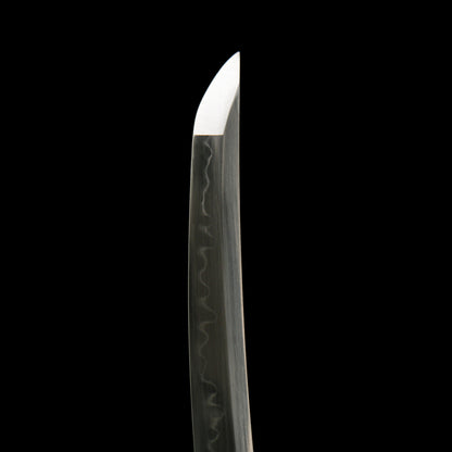T10 Ghost Wolf Lord Jin Sakai Katana Tanto 2 in 1 Set